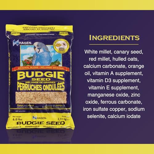 Hagen Parakeet/Budgie Staple White Millet Bird Seed – Premium Blend, Nutritionally Balanced, Fortified with Vitamins & Minerals, Dust-Free Mix for Budgies, 6 lb Bag