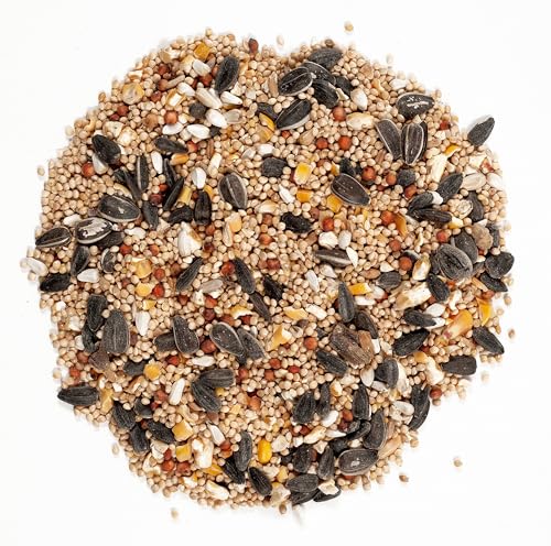 Wagner's 62004 Eastern Regional Wild Bird Food, 20-Pound Bag