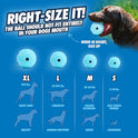Chuckit! The Whistler Ball Dog Toy, Medium (2.5 Inch Diameter) for Dogs 20-60 lbs, Pack of 2, Multicolor