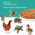 Dried Mealworms 10LB Pure Natural Non-GMO Mealworms for Chickens High Protein Chickens Feed Meal Worms for Laying Hens Wild Birds
