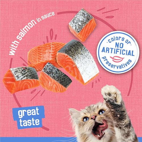 Purina Friskies Shreds With Salmon in Sauce Wet Cat Food - (Pack of 24) 5.5 oz. Cans