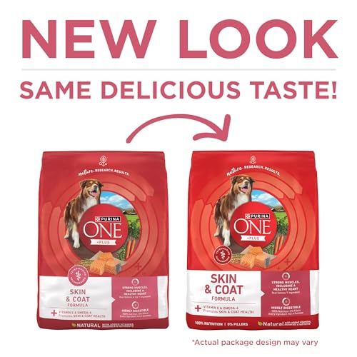 Purina ONE Natural, Sensitive Stomach Dry Dog Food, +Plus Skin & Coat Formula - 31.1 lb. Bag