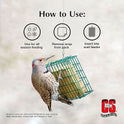 C&S Woodpecker Suet Treat, Outdoor Wild Bird Food for Woodpeckers, Flickers and More, 8 Pack