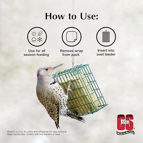 C&S Woodpecker Suet Treat, Outdoor Wild Bird Food for Woodpeckers, Flickers and More, 8 Pack