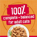 Purina Friskies  Filets With Chicken in Wet Cat Food Gravy - (Pack of 24) 5.5 oz. Cans
