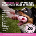 10-in-1 Dog Multivitamin Supplement with Glucosamine & Probiotics - Hip & Joint Support, Digestive Health, Immune Support, Heart & Skin - All-in-One Daily Vitamins & Omega-3s (Peanut Butter, 90 ct)