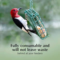C&S High Energy Delight No Melt Suet Dough, Suet Cakes for Wild Birds Including Woodpeckers, Nuthatches, Chickadees and More, Pack of 8