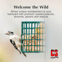 C&S Woodpecker Suet Treat, Outdoor Wild Bird Food for Woodpeckers, Flickers and More, 8 Pack
