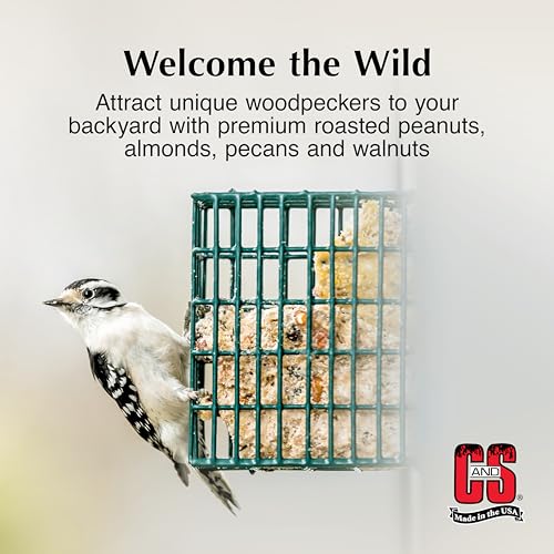 C&S Woodpecker Suet Treat, Outdoor Wild Bird Food for Woodpeckers, Flickers and More, 8 Pack