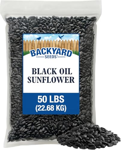 Backyard Seeds Black Oil Sunflower Seeds for Wild Birds 50lbs - Thin Shells, Premium Cardinal Food, Large Bulk Bag of Black Oil Sunflower Seeds
