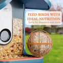 Metal Suet Ball Holder for Bird Buddy, Compatible with BirdBuddy Smart Feeders & Others with Ready 5mm Screw Hole, Durable Accessory & Add-on Attachment for Bird Feeders (Orange)