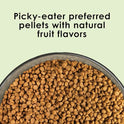 Kaytee Nutri Soft Pet Parrot & Conure Bird Food, 3 Pound