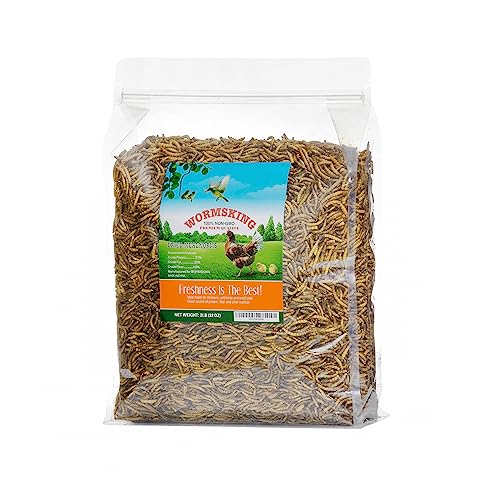 WORMSKING 2LB Dried Mealworms for Poultry, Wild Birds,Tasty Bird Food，Great Bird Watching Gift