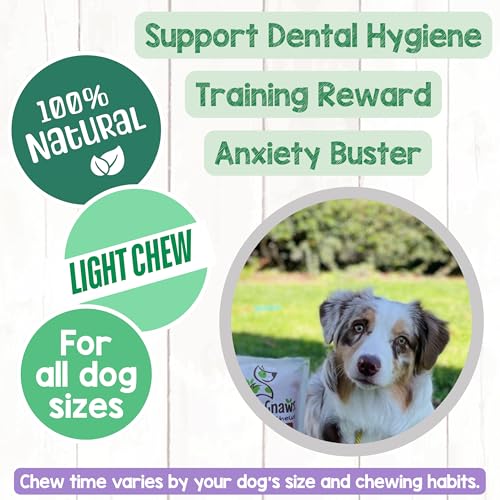Nature Gnaws USA Turkey Tendon Rings for Dogs (8oz) - Delicious Grain Free Reward Snack for Small, Medium & Large Breeds - Premium Natural Dog Chew Treats
