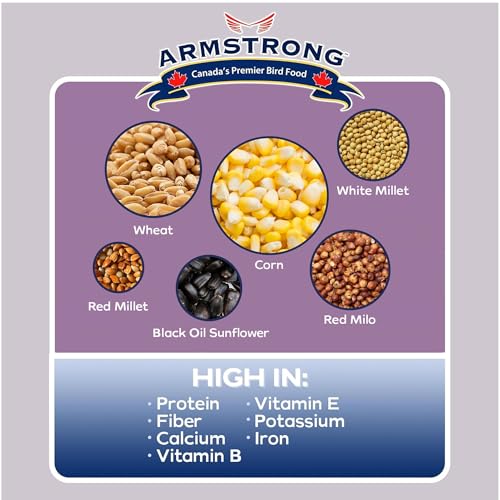 Armstrong Wild Bird Food All Season Bird Seed Blend, 40 Pounds - with Cut Corn, Wheat, White & Red Millet, Black Oil Sunflower Seeds for Blue Jays, Dark-Eyed Juncos and Mourning Doves