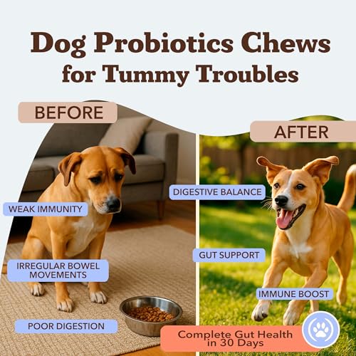 Natural Dog Company Probiotics for Dogs – Dog Probiotic Chews with 1B CFUs, Canine-Specific Microencapsulated Strains, Prebiotics & Enzymes for Digestive Health, Stool & Immune Support, 45 Ct