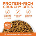 Purina ONE High Protein, Healthy Plus Ideal With Chicken Dry Cat Food Control Formula - 7 lb. Bag