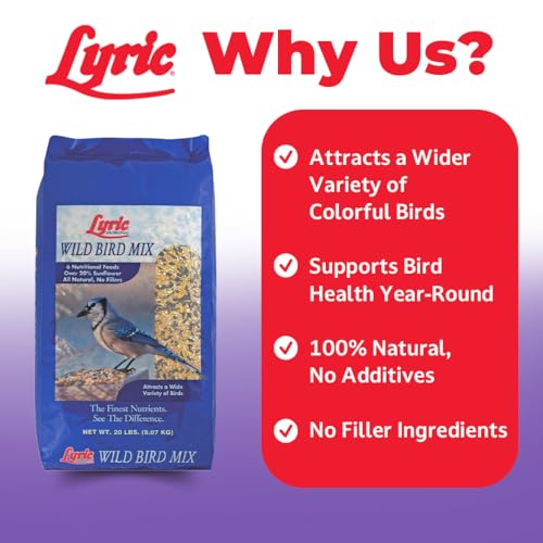 Lyric Wild Bird Mix - Includes Corn, Nuts, and Wild Bird Seed for Outside Feeders, Attracts Doves, Jays and Many More, 40 lb Bag