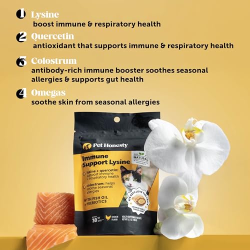 Cat Immune Support Lysine – Allergy Relief & Immune Health Supplement for Cats with L-Lysine, Colostrum, Quercetin & Omega-3 – Soothes Sneezing, Runny Nose & Itchy Skin Chicken, (30-Day Supply)