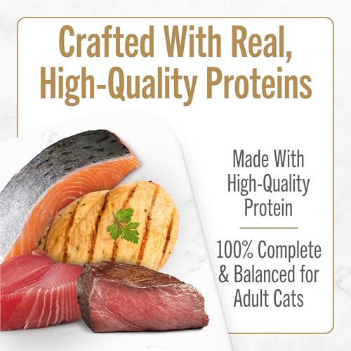 Purina Fancy Feast Savory Centers Wet Cat Food Pate Variety Pack With Chicken, Salmon, Beef, and Tuna Pate with Gravy Center - (2 Packs of 12) 3 oz. Pull-Top Cans