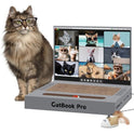 3-in-1 Cardboard Cat Scratcher Laptop with 'Mouse' Jingle Ball, Stickers, Grey Cat Interactive Toy, Kitten Toy & Cat Scratching Pad