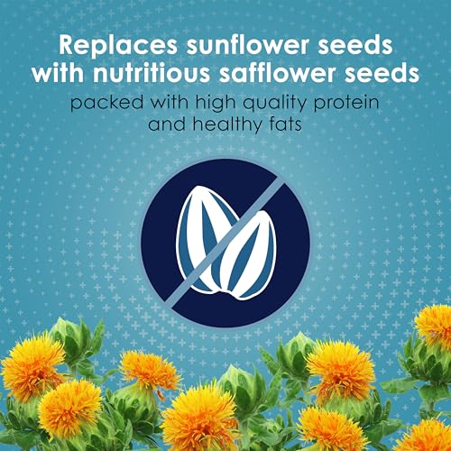 Kaytee Forti-Diet Pro Health+Safflower Nourish+Protect Cockatiel Food, Supports Breeding and Molting, Nutrition Backed by Science, Digestive and Brain Health, 4 pounds