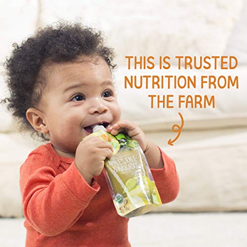 Happy Baby Organics Stage 2 Baby Food Pouches, Gluten Free, Vegan & Healthy Snack, Clearly Crafted Fruit & Veggie Puree, Fruit & Veggie Variety Pack, 4 Ounces (Pack of 10),  Exclusive