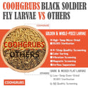 COOHGRUBS Black Soldier Fly Larvae for Chickens – 100% Natural Non-GMO Grubs, 85X More Calcium Than Dried Mealworms – Clean, Nutritious & Delicious High-Protein Poultry & Bird Treats, 10-lb Box