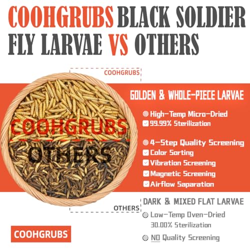 COOHGRUBS Black Soldier Fly Larvae for Chickens – 100% Natural Non-GMO Grubs, 85X More Calcium Than Dried Mealworms – Clean, Nutritious & Delicious High-Protein Poultry & Bird Treats, 10-lb Box