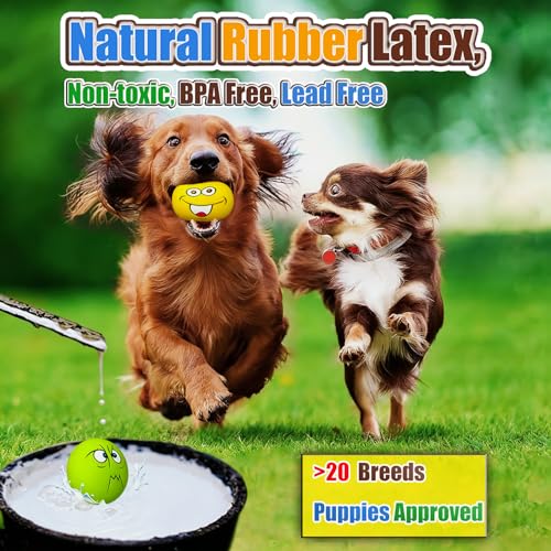 HOLYSTEED Latex Dog Squeaky Toys, Rubber Soft Small Dog Toys Chewing Squeaky Toy, Fetch Play Balls Toy for Puppy Small Pets 6pcs