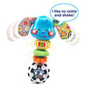 VTech Baby Rattle and Sing Puppy