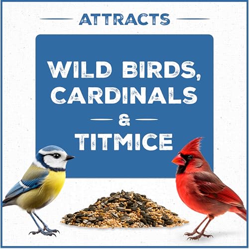 Pennington Wild Bird Food, Wild Bird Seed for Outside Feeders, Great to Feed Year-Round, 22.5-lb. Critter-Proof Bucket