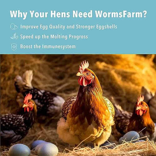 WormsFarm 5LB Dried Black Soldier Fly Larvae Treat for Chicken More Calcium Than Mealworms,for Laying Hen,Wild Birds (5 Pound)