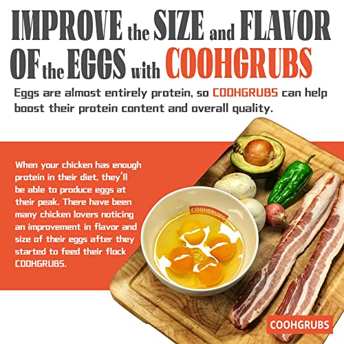 COOHGRUBS Black Soldier Fly Larvae for Chickens – 100% Natural Non-GMO Grubs, 85X More Calcium Than Dried Mealworms – Clean, Nutritious & Delicious High-Protein Poultry & Bird Treats, 10-lb Box