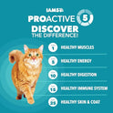 IAMS Proactive Health Dry Cat Food, Indoor Weight and Hairball Care Cat Food Dry Recipe, with Real Chicken in Every Bite, 7 lb. Bag