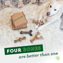 Benebone Medium 4-Pack Dog Toys for Aggressive Chewers – Durable Dog Bones, Made in USA – Dog Toys for Medium Dogs Under 60 lbs