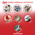 Lyric Golden Safflower Bird Seed for Outside Feeders - Attracts Cardinals, Chickadees, Woodpeckers & More, 12 lb Bag