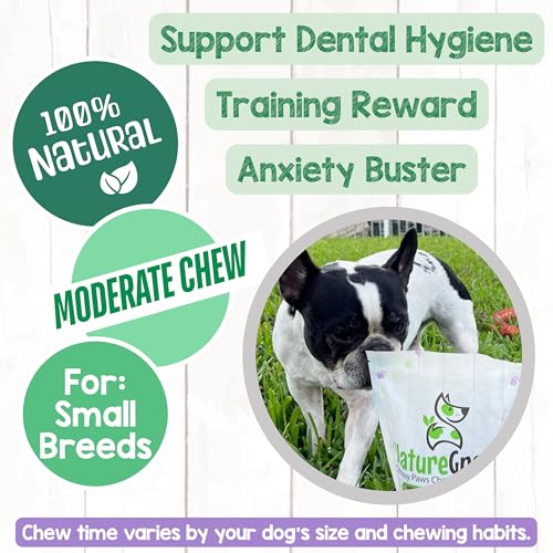 Nature Gnaws Extra Thin Bully Sticks for Small Dogs 5-6" (10 Count) - Long Lasting for Light Chewers and Puppies - Natural Beef Dog Chew Bones