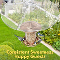 iBorn Baffles for Bird Feeders, 19.5” Oversized Bird Feeder Cover for Rain Guard, Birds Feeders Squirrel Guard, Full Protection for Outdoors, Polycarbonate(PC), Pack of 1, Transparent