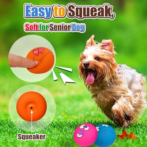HOLYSTEED Latex Dog Squeaky Toys, Rubber Soft Small Dog Toys Chewing Squeaky Toy, Fetch Play Balls Toy for Puppy Small Pets 6pcs