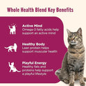 Nutrish Grain Free Wet Cat Food Tuna Purrfection Whole Health Blend with Real Tuna Flakes in a Savory Sauce, 2.8 oz. Cup, Pack of 12 (Rachael Ray)
