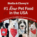 Stella & Chewy's Freeze-Dried Raw Chicken Heart Dog Treats - Single Ingredient, No Additives - Premium Training Treats - Perfect For Picky Eaters - 11oz Bag