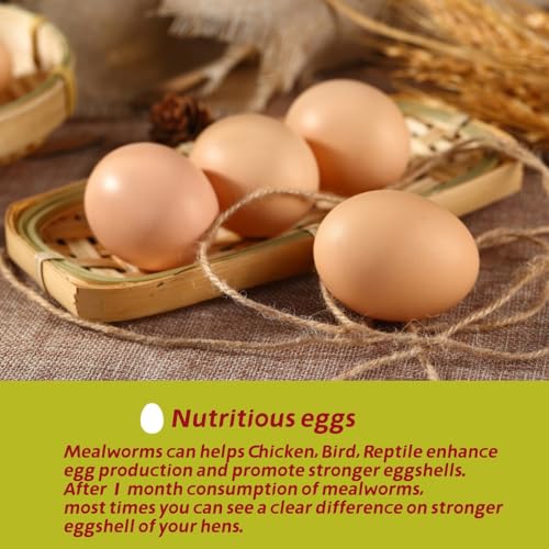 SANSECT 10 LB Dried Mealworms, 100% Natural, Non-GMO Mealworms for Chickens-High Protein Treats for Chickens, Ducks, Wild Birds