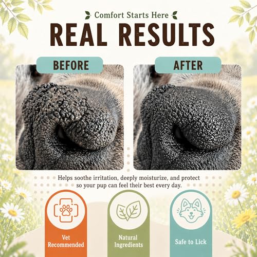 Natural Dog Company Snout Soother Dog Nose Balm – Moisturizing Care for Dry, Crusty, Cracked Noses with Coconut Oil & Shea Butter, Lick Safe Dog Snout Balm for All Breeds - 1 oz Tin