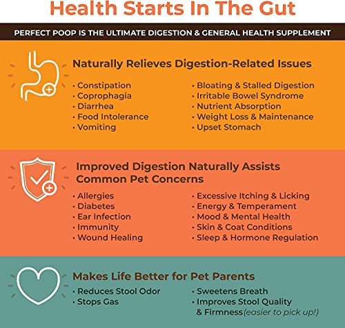 Bernie's Perfect Poop 4-in-1 Dog Digestion Supplement, Chicken, 12.8 oz | Digestive support for firm stools, diarrhea, constipation, gas and stool odor with fiber, prebiotics, probiotics and enzymes
