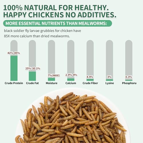 10LB Dried Black Soldier Fly Larvae for Chickens,High Calcium,Non-GMO,60-100X More Calcium Than Mealworms,Treat for Laying Hen,Ducks,Wild Birds,Turtles