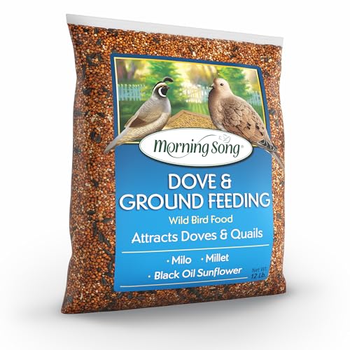 Morning Song Dove & Ground Feeding Wild Bird Seed -12 lb. Dove, Quail & Pigeon Wild Bird Food for Outside Feeders