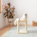 Basics Cat Tower with Hammock Bed and Scratching Post for Indoor Cats, Easy to Assemble, Interactive Hanging Ball, 15.8" x 15.8" x 19.7", Beige