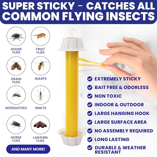 Fly Stick Sticky Fly Traps for Indoors Outdoor 6pk. Non-Toxic Super Sticky Hanging Flies Catcher Paper Tape Strips for Home. Catches All Bugs and gnats. Indoor Outdoor House Flying Insect Trap.