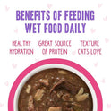 Weruva B.F.F. OMG - Best Feline Friend Oh My Gravy!, Rainbow A Gogo Variety Pack! Cat Food, 3oz Pouch (Pack of 12)